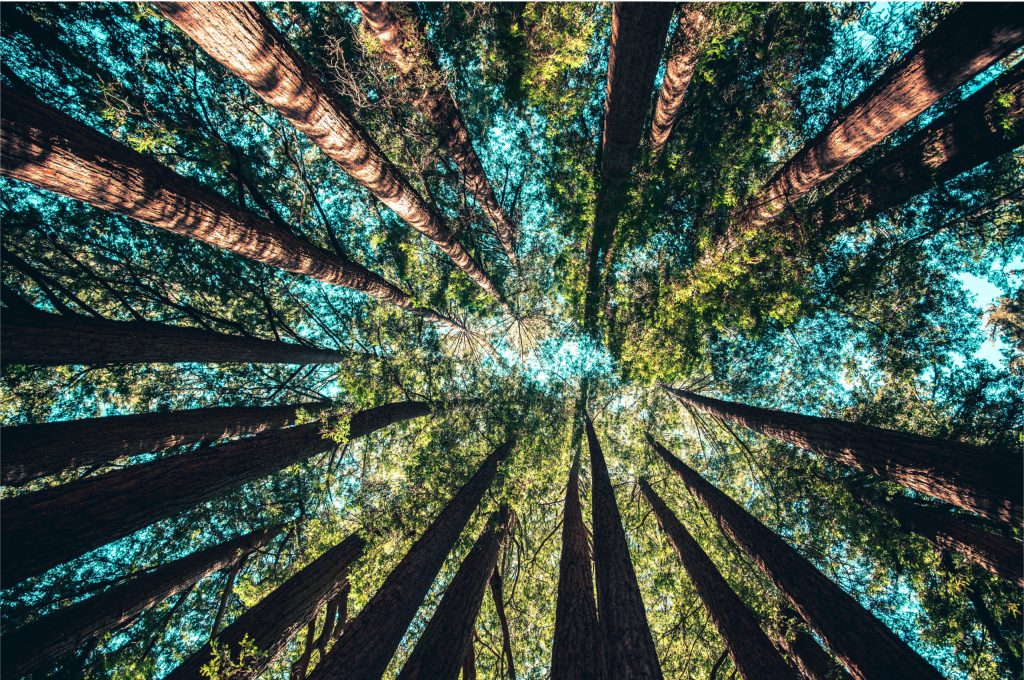 Bay Area Recycling for Charities